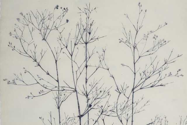 Sarah Horowitz
