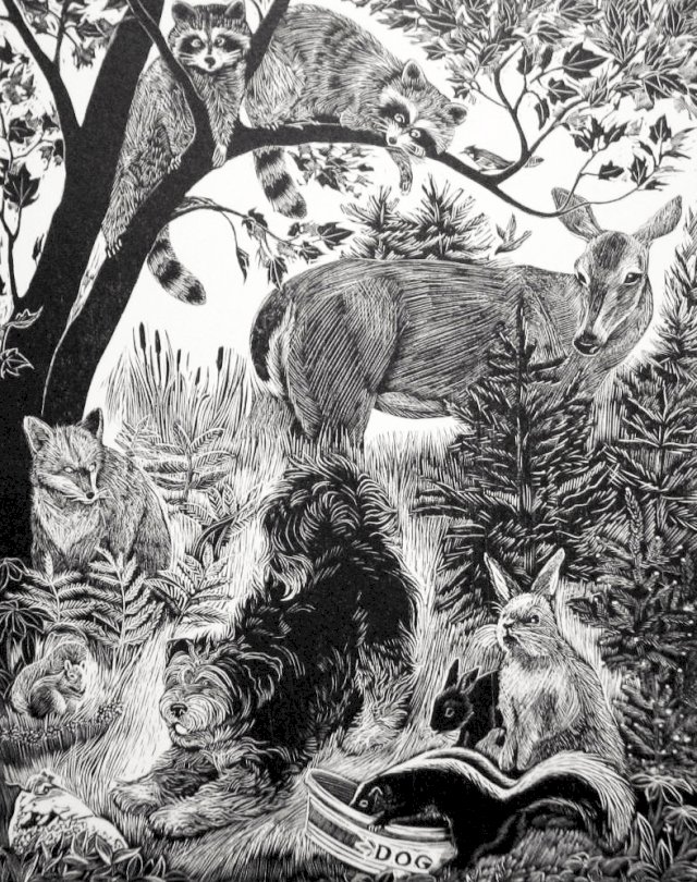 Blackberry and Friends