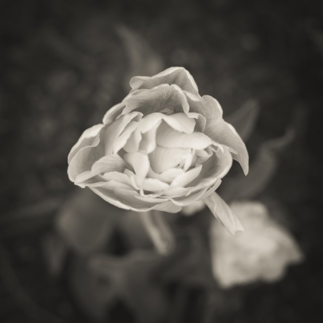 Interiority, 1/10