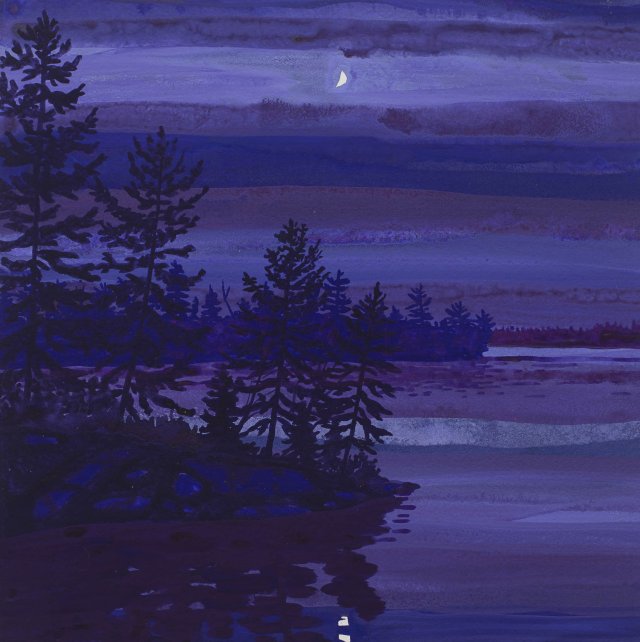 Night Millinocket Lake