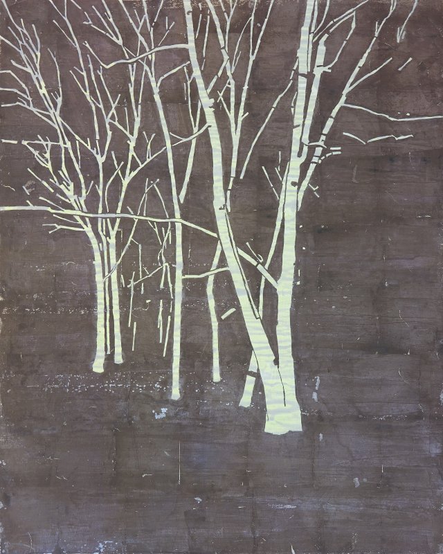 Birches