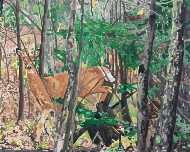 Cottage Book: Deer in Woods