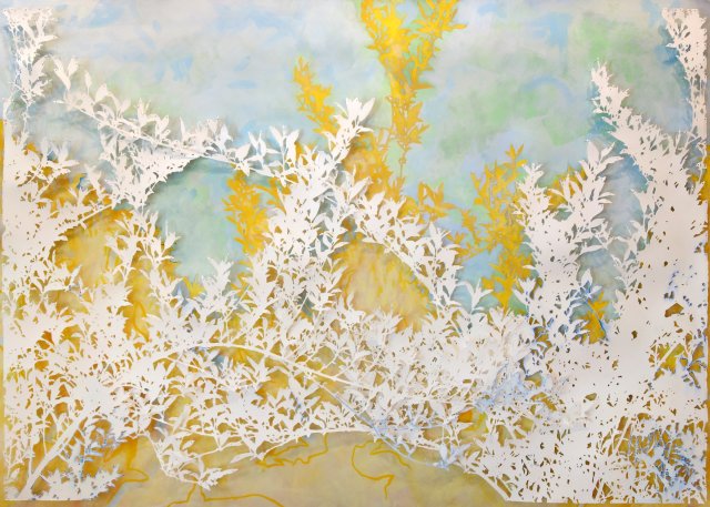 Forsythia in Contrast