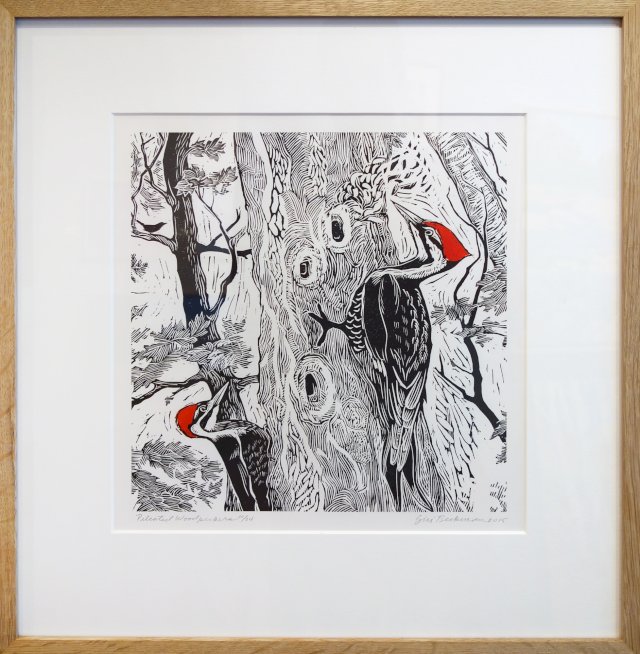 Pileated Woodpeckers