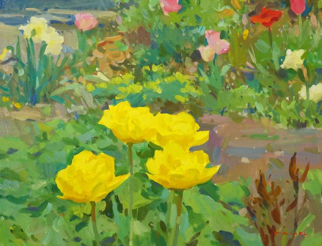 Marie Jo Double Tulip