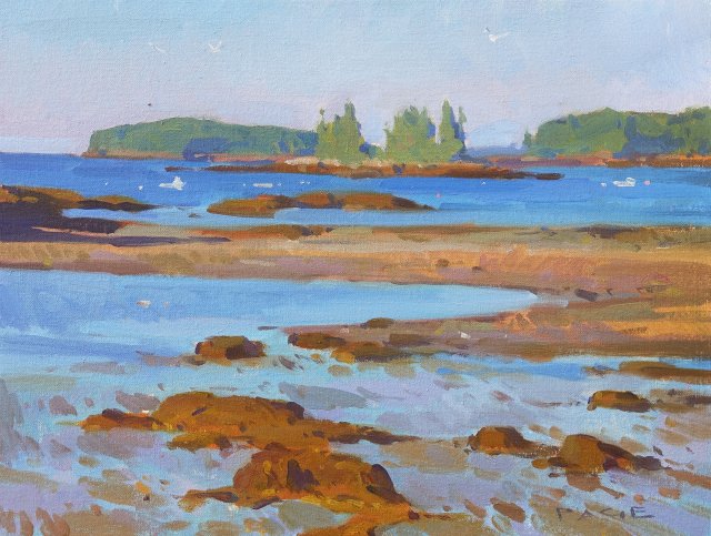 Spring Tide