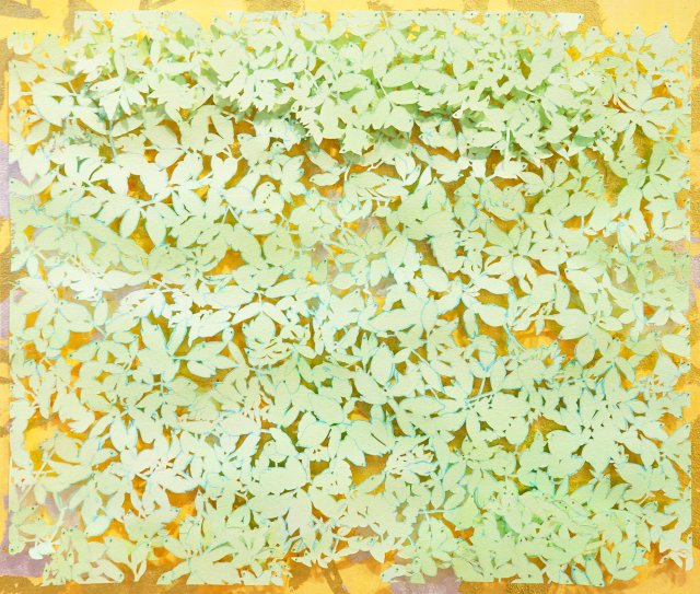 Ground Elder Ground Cover