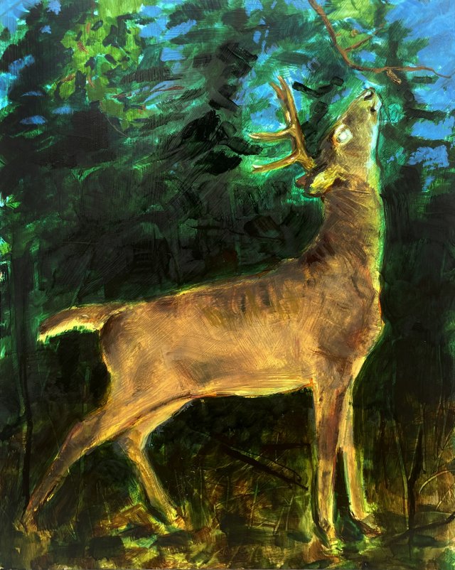 Licking Branch