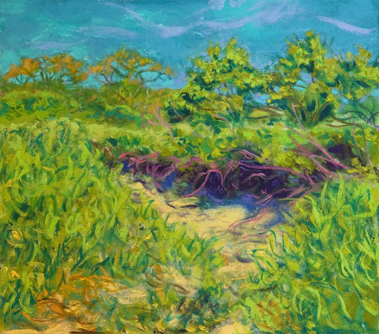 Erosion Path (Kettle Cove)