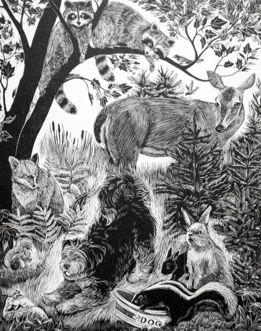 Blackberry and Friends