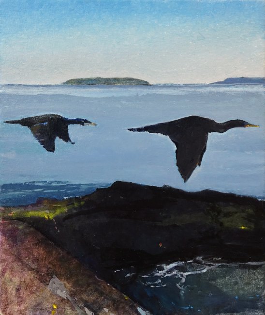 Cormorants and the Cranberry Isles