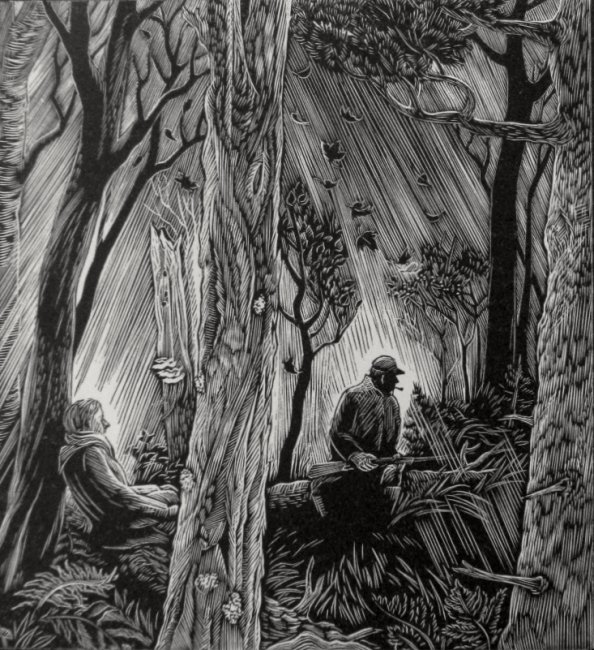 Stopping in the Woods