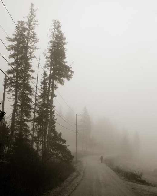 The Long Walk Home, edition of 5