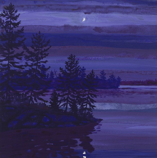 Night Millinocket Lake