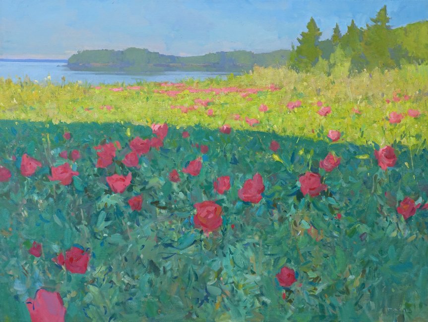 Rose Island