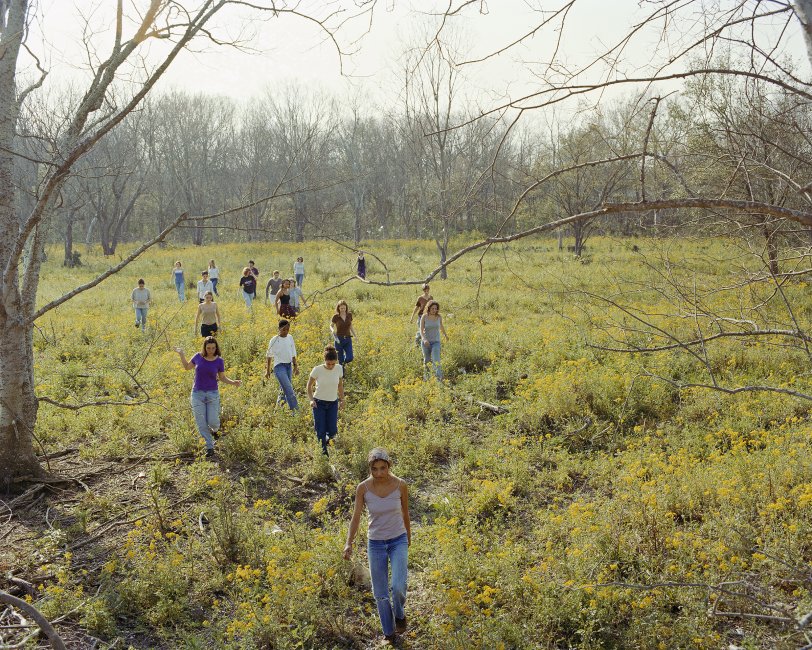 Golden Field
