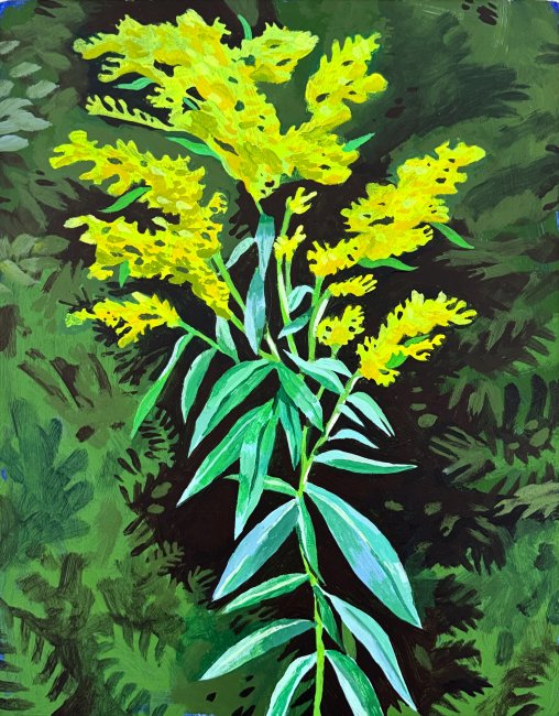 Goldenrod