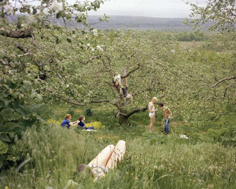 Orchard