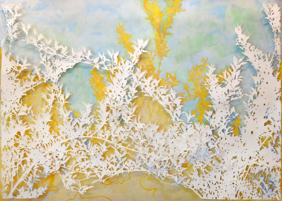 Forsythia in Contrast