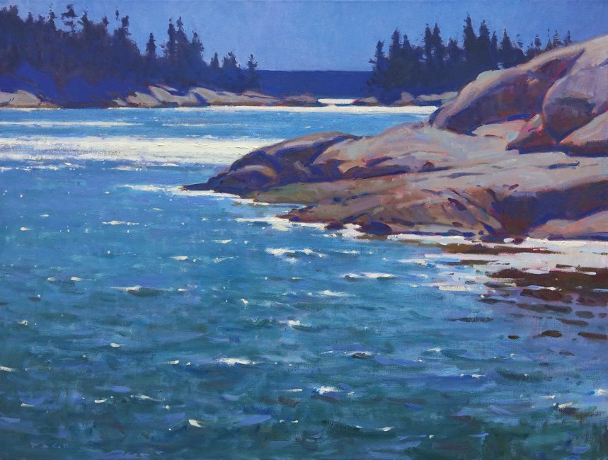 Glittering Shore