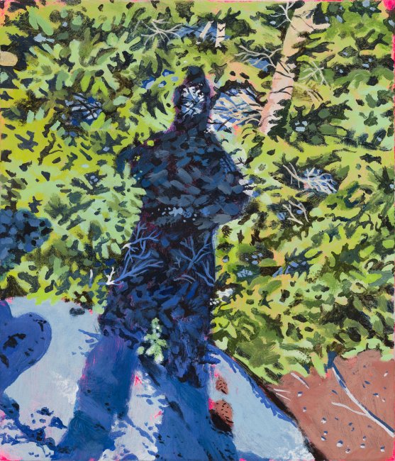 Self Portrait as a White Spruce in the Winter Sun