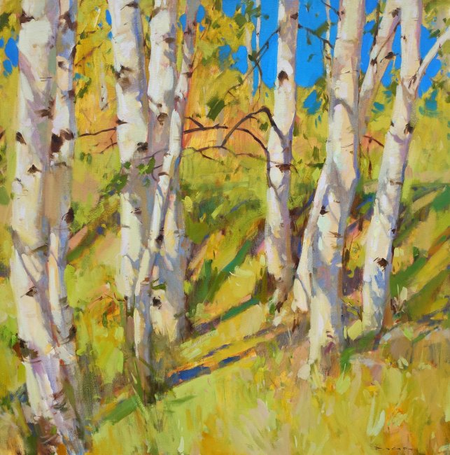 Birches with Sun at My Back