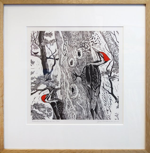 Pileated Woodpeckers