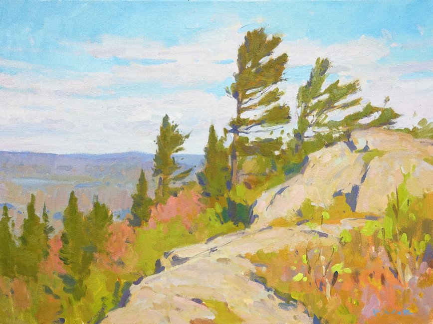 Spring Winds