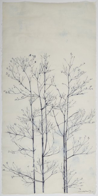 Blue Branches (unframed)