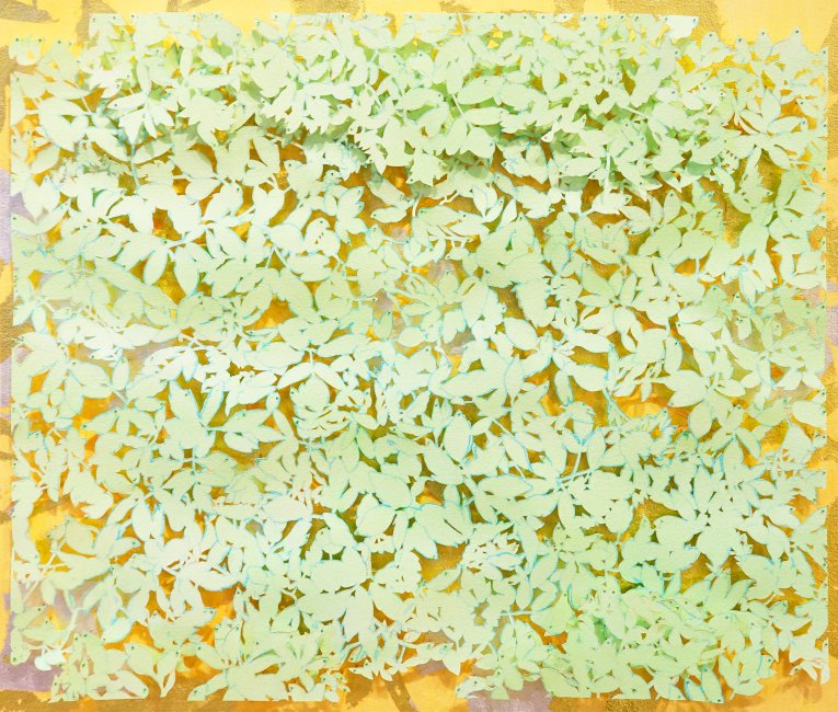 Ground Elder Ground Cover