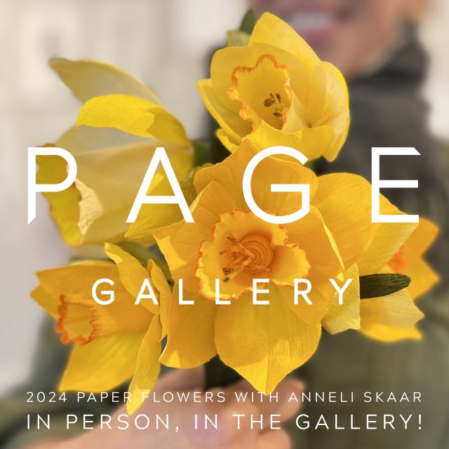 DAFFODILS! NARCISSUS! PAPERWHITES!